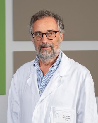 Il team 16 Il team svg+xml;charset=utf